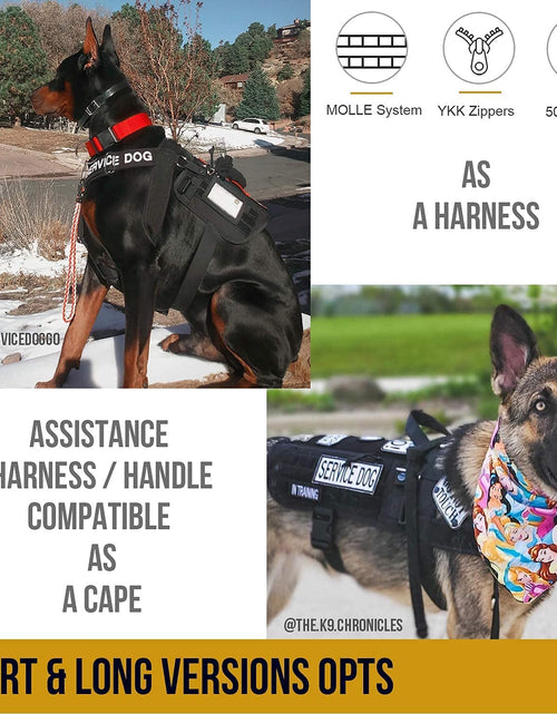 Load image into Gallery viewer, Service Dog Harness No-Pull Dog Harness Adjustable Comfort Pet Dog Vest Harness for Outdoor Walking (Black, Long Version)
