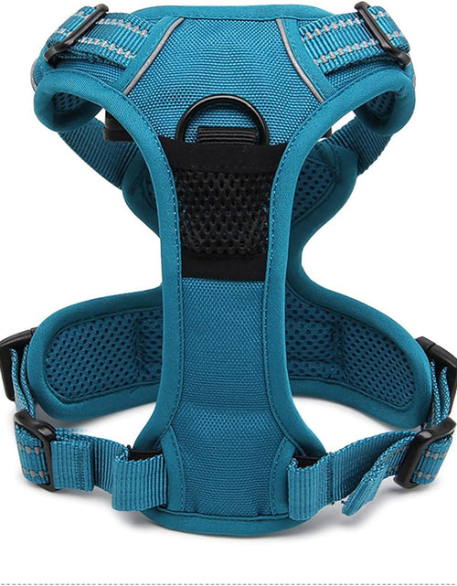 Load image into Gallery viewer, Truelove Adjustable No-Pull Dog Harness Reflective Pup Vest Harnesses Comfortable Control Brilliant Colors Tlh5651(Blue,Xs)
