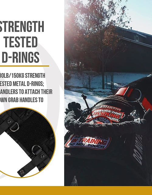 Load image into Gallery viewer, Service Dog Harness No-Pull Dog Harness Adjustable Comfort Pet Dog Vest Harness for Outdoor Walking (Black, Long Version)
