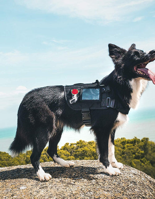 Load image into Gallery viewer, Service Dog Harness No-Pull Dog Harness Adjustable Comfort Pet Dog Vest Harness for Outdoor Walking (Black, Long Version)
