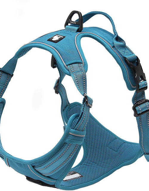 Load image into Gallery viewer, Truelove Adjustable No-Pull Dog Harness Reflective Pup Vest Harnesses Comfortable Control Brilliant Colors Tlh5651(Blue,Xs)
