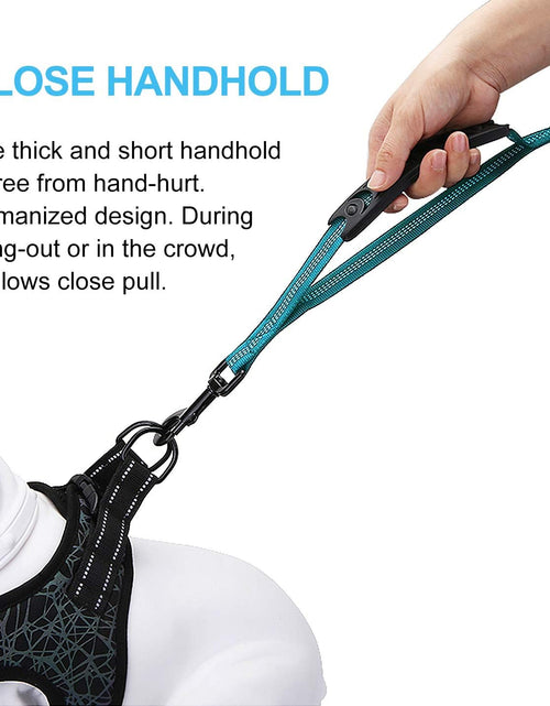 Load image into Gallery viewer, 6FT Highly Reflective Heavy Duty Elastic Bungee Medium and Large Dog Leash Shock Absorbing with Comfortable Padded Handle and Traffic Handle Suitable for Training
