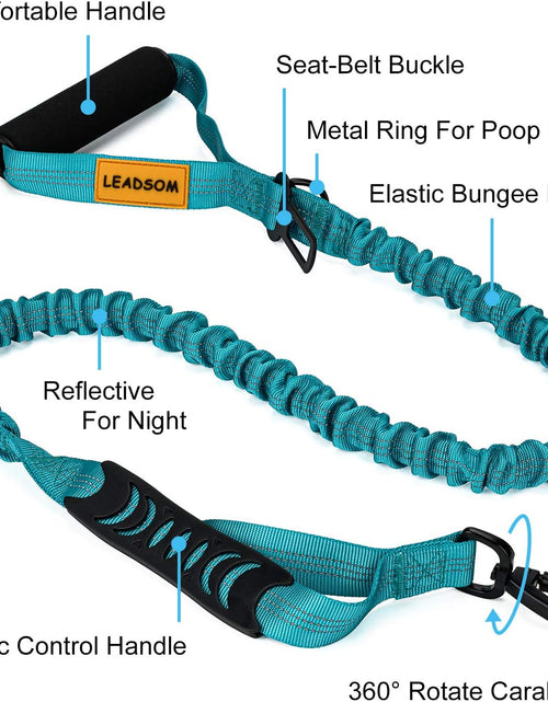 Load image into Gallery viewer, 6FT Highly Reflective Heavy Duty Elastic Bungee Medium and Large Dog Leash Shock Absorbing with Comfortable Padded Handle and Traffic Handle Suitable for Training
