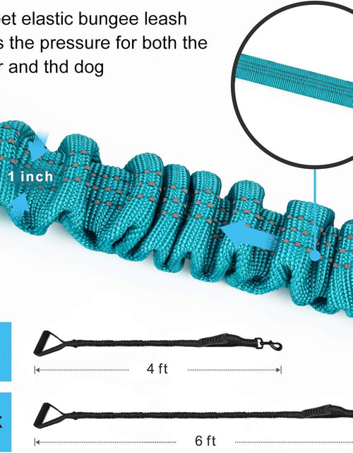 Load image into Gallery viewer, 6FT Highly Reflective Heavy Duty Elastic Bungee Medium and Large Dog Leash Shock Absorbing with Comfortable Padded Handle and Traffic Handle Suitable for Training
